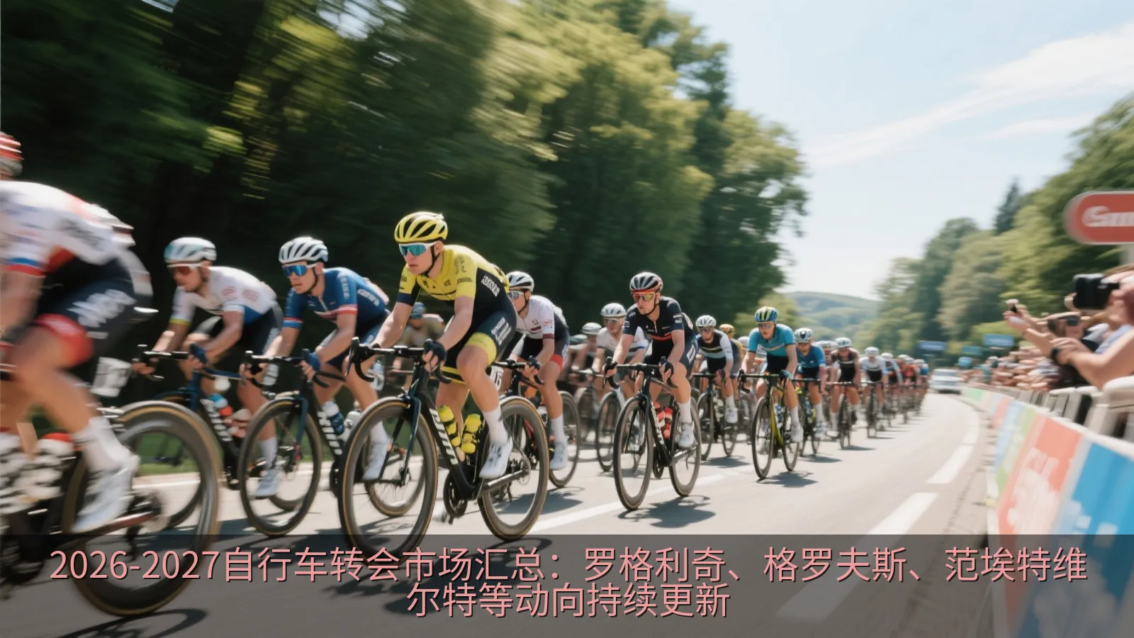 职业公路自行车赛中的主集团